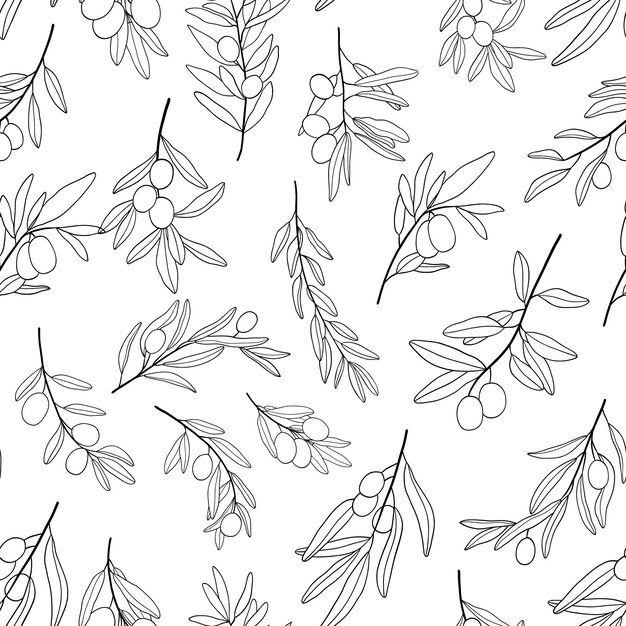 Patrón monocromo sin costuras con ramas de olivo Ilustración de línea con hojas de olivo aisladas en blanco Comida de la cocina mediterránea