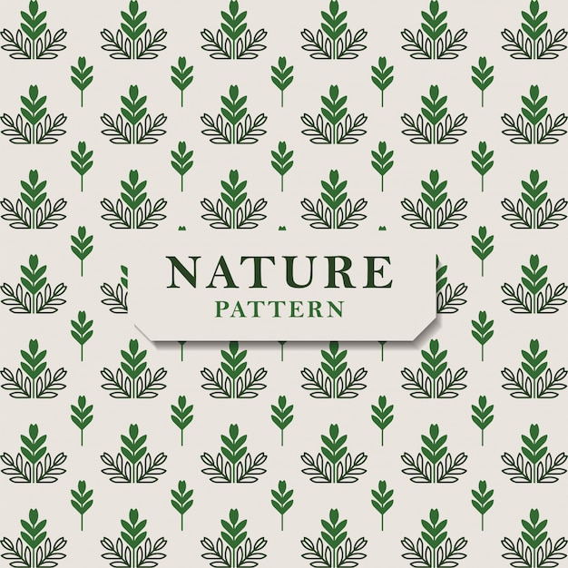 Patrón de naturaleza transparente con hojas verdes. Textura perfecta Patrón de hojas