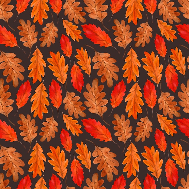 Patrón de otoño acuarela con diferentes licencias de otoño.