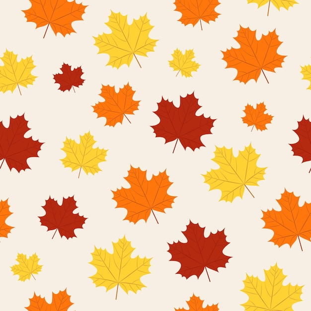 Patrón de otoño. Hojas de arce de otoño transparente sobre fondo beige. Fondo de pantalla de temporada.