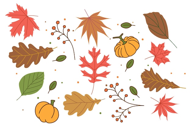 patrón de otoño4 Ilustración de otoño Ilustración del patrón de hoja de arce y calabaza de otoño