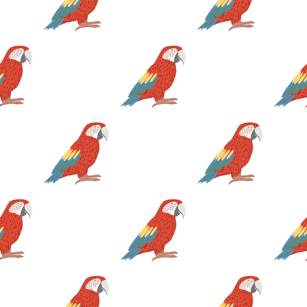 Patrón de pájaro transparente aislado con loro rojo brillante