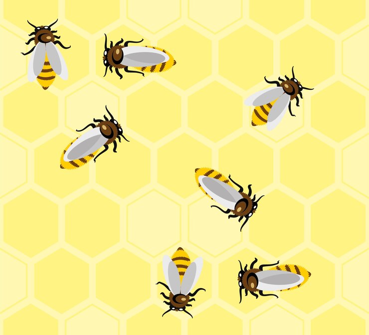 Vector el patrón de los panales de miel y las abejas
