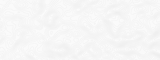 el patrón en el papel tapiz es de la colección por persona