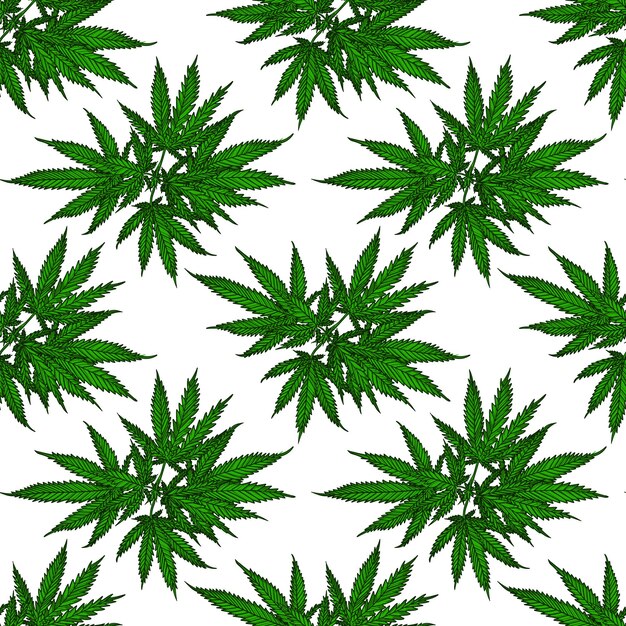 Patrón de planta de cáñamo. Rama de cannabis con hojas. Ramita de marihuana vector de patrones sin fisuras
