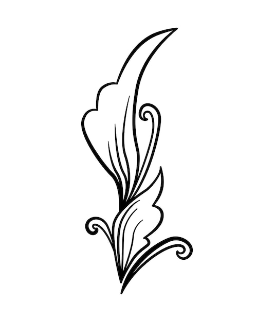 Patrón de planta decorativa
