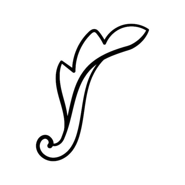 Patrón de planta decorativa