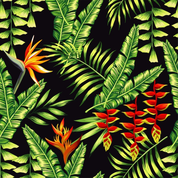 Vector patrón de plantas tropicales y palmeras.