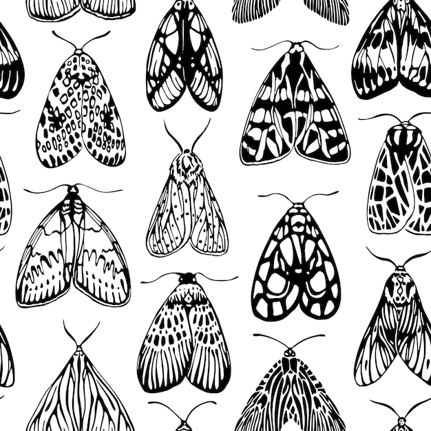 Patrón de polilla blanco y negro sin inconvenientes. Dibujado a mano con tinta negra y pincel. aislado en blanco