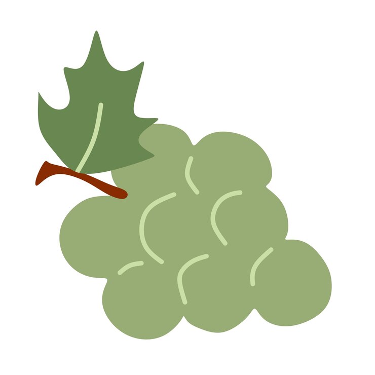 Vector patrón de pomelo vectorial sin costuras fondo plano de verano fruta tropical aislada sobre fondo rosa