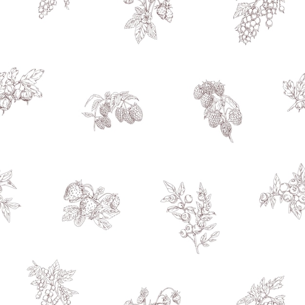 Patrón de ramas de bayas contorneado. Fondo botánico impecable con dibujos antiguos de plantas frutales. Diseño sin fin con estampado repetido. Ilustración vectorial dibujada a mano para envolver y decorar