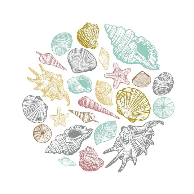 Patrón redondo de concha de mar. Conchas de colores dibujados a mano por círculo. ilustración para su diseño