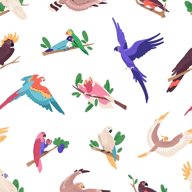 Patrón repetible de diferentes loros exóticos Fondo sin fin con varias aves tropicales de la selva Cucatas voladoras araos coloridos periquitos Ilustración vectorial sin costuras plana
