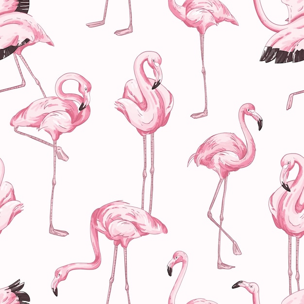 Patrón transparente de colores con flamenco rosado. Fondo realista dibujado a mano con aves tropicales de pie en diferentes posturas. Telón de fondo de moda vector con animales salvajes exóticos.
