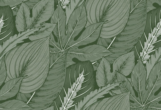 Vector patrón transparente con composiciones de hojas de palmeras tropicales dibujadas a mano, plantas de la selva.