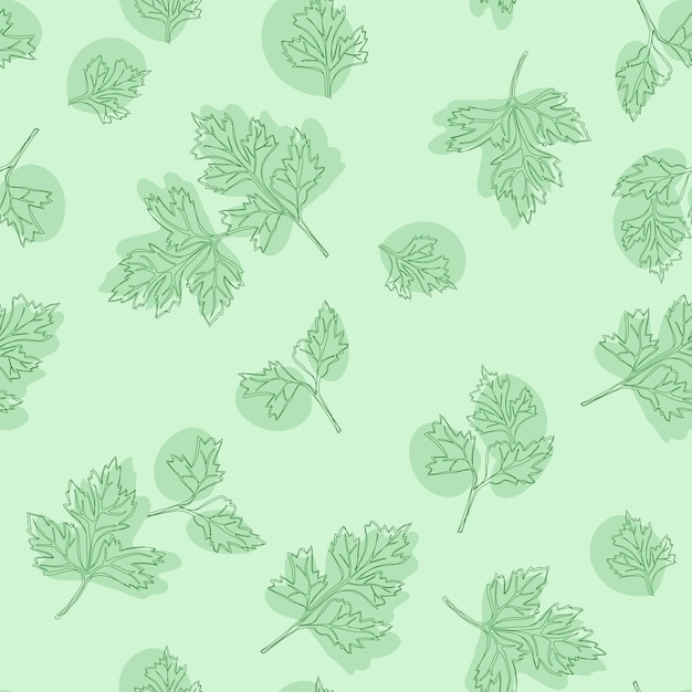 Patrón transparente dibujado a mano con perejil de hierbas. Hojas y ramas de perejil sobre un fondo verde. Hierbas para el diseño de envases, tarjetas, postales e ilustraciones de libros.