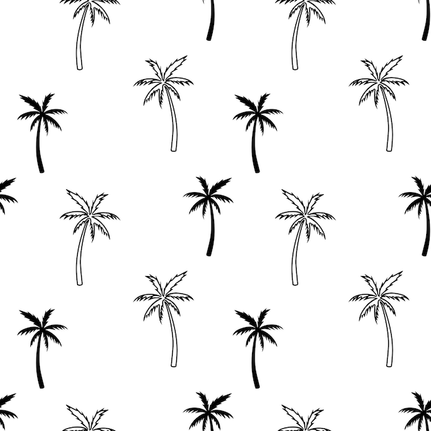 Patrón transparente de palmera blanco y negro