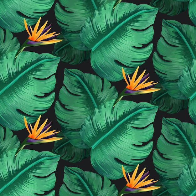 Patrón transparente tropical brillante con plantas de la selva fondo exótico con hojas tropicales vector