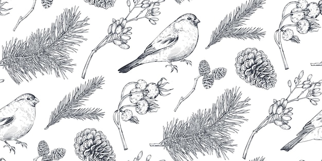 Patrón transparente de vector con elementos florales de navidad plantas ramas piñas pájaros y especias