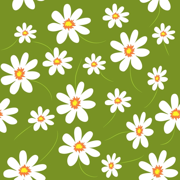 Patrón transparente de vector floral daisy flores de manzanilla