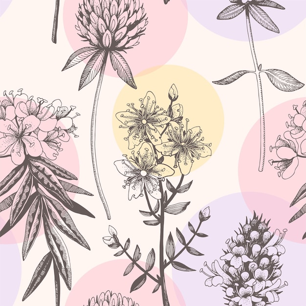 Patrón transparente de vector con flores de prado dibujado a mano
