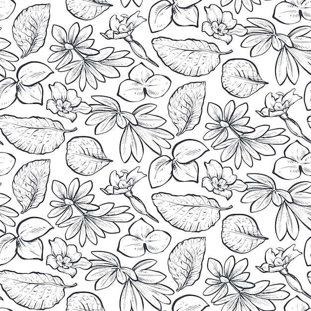 Patrón transparente de vector con flores de primavera dibujadas a mano y hojas sobre fondo blanco Fondo interminable romántico en colores blanco y negro Estilo gráfico de boceto