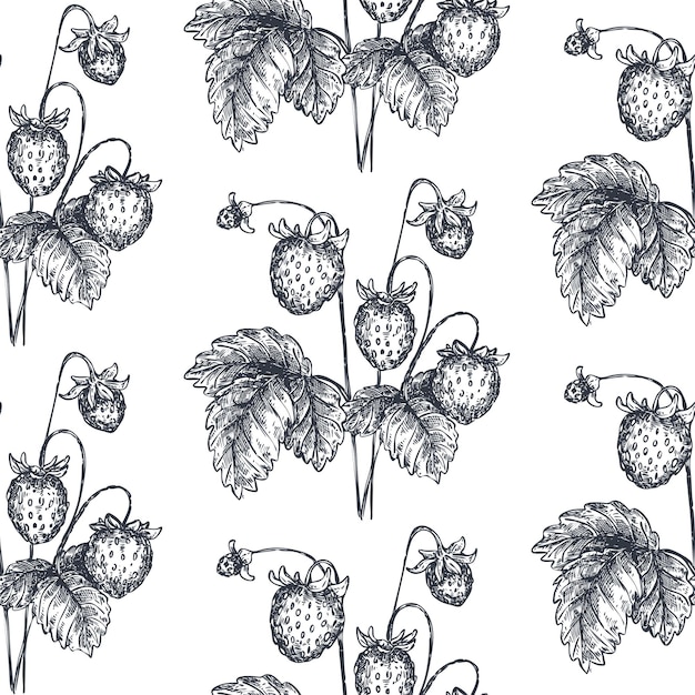 Patrón transparente de vector con fresas dibujadas a mano en estilo boceto. Dibujo detallado de comida vegetariana. Hermoso fondo sin fin vintage