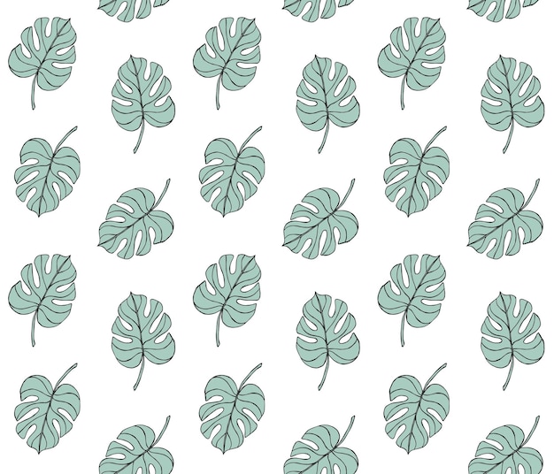 Patrón transparente de vector de hoja de menta monstera