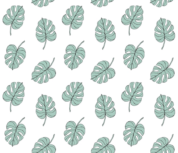 Patrón transparente de vector de hoja de menta monstera