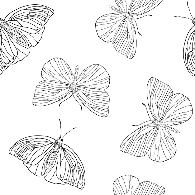 Patrón transparente de vector de mariposas de contorno blanco y negro sobre un fondo blanco
