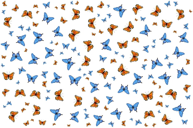 Patrón transparente de vector de moda original de muy alta calidad con mariposa colorida
