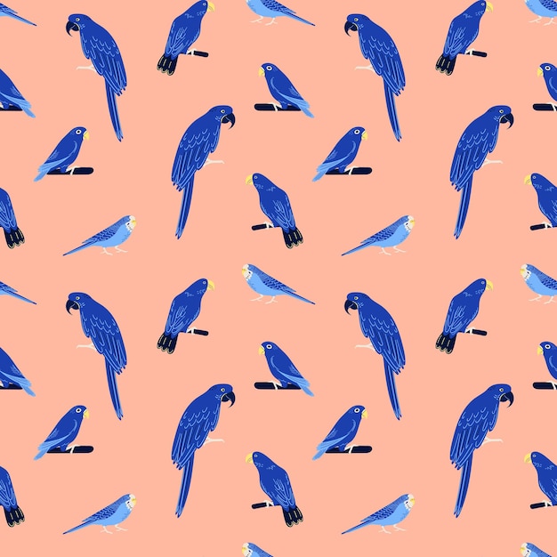 Patrón transparente de vector con periquitos guacamayos azules Amazonas y aves tropicales Loros con estilo