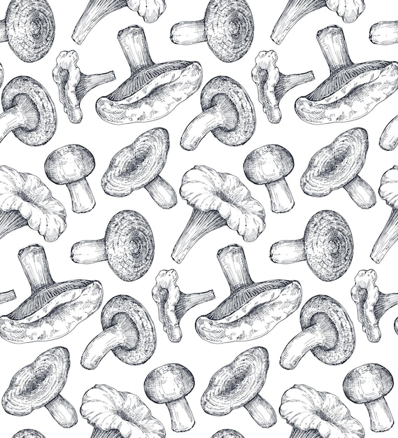 Patrón transparente de vector con setas del bosque dibujado a mano. Hermosa ilustración sin fin de otoño en estilo boceto para libro de colorear, textil, paquete.