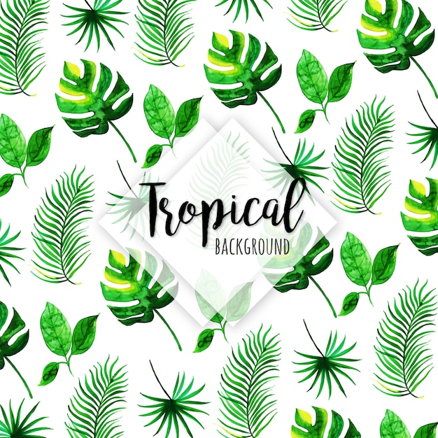 Patrón tropical con diferentes hojas en estilo acuarela