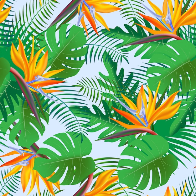 Patrón tropical transparente de vector