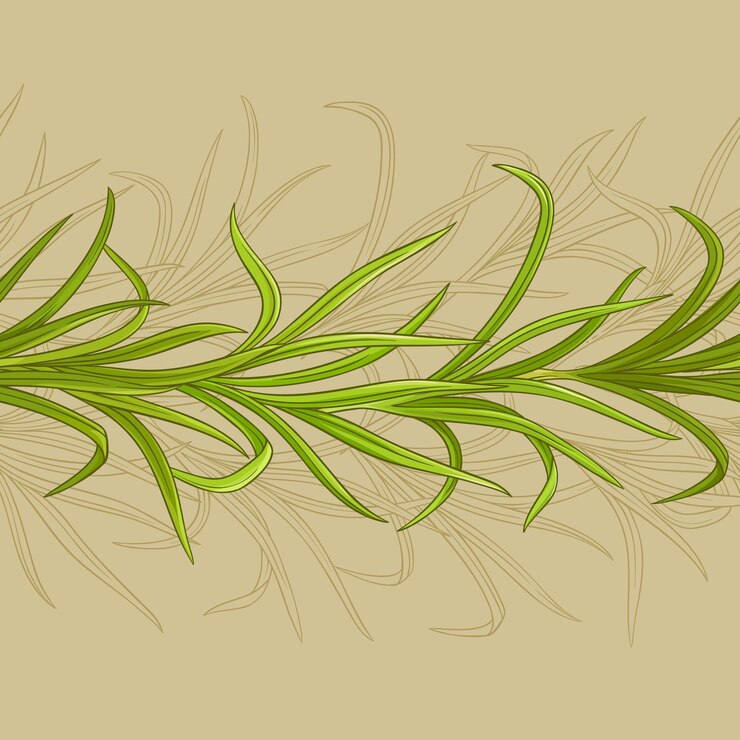 Vector patrón de vector de hierba de limón
