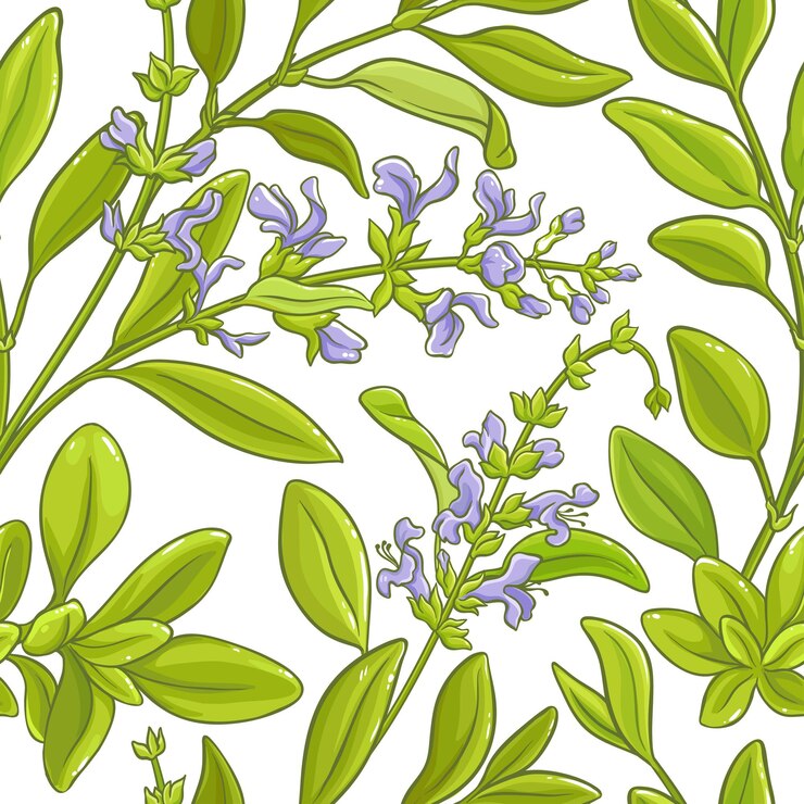 Vector patrón de vector de rama de salvia
