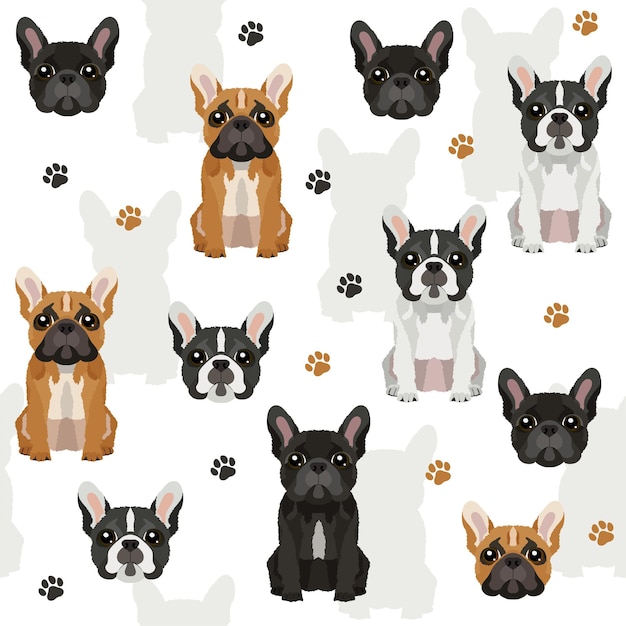 Vector patrón de vector transparente fondo con bulldogs franceses