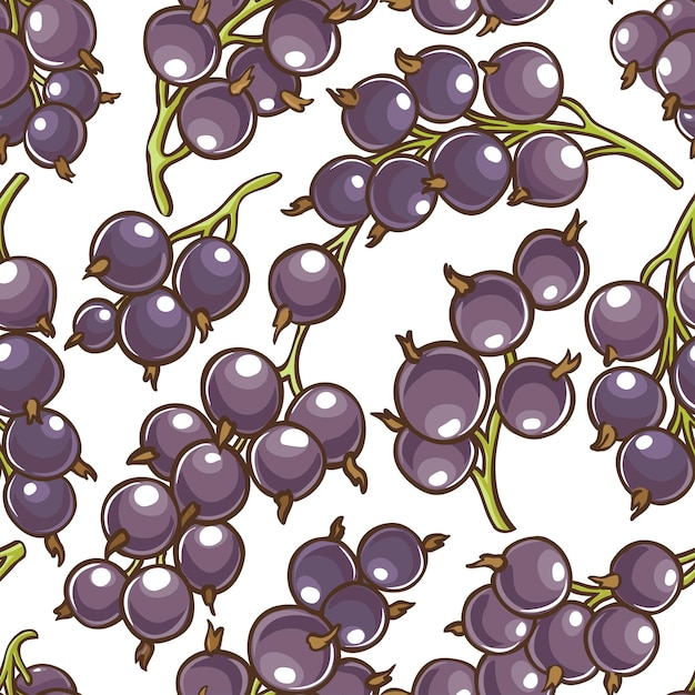 patrón vectorial de las bayas de grosella negra