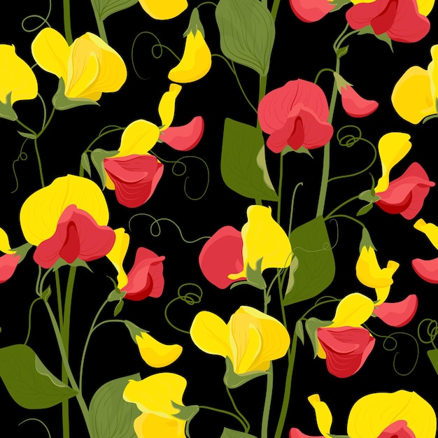 Patrón vectorial sin costuras con flores de guisante dulce Patrón floral para papel tapiz o textil de tela