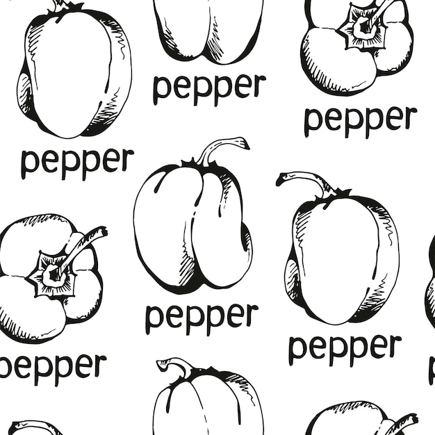Patrón vectorial sin costuras con pimientos dibujados a mano