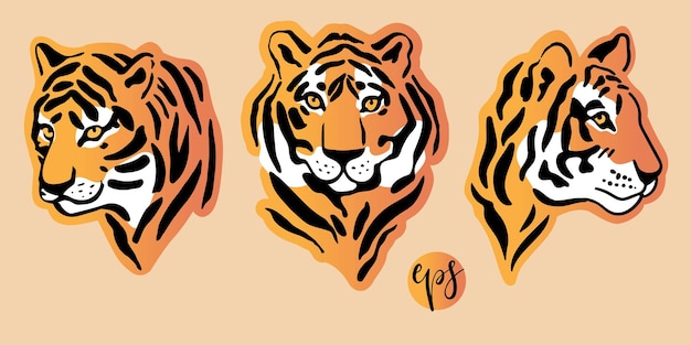 Vector un patrón vectorial sin costuras con tigres en la jungla para papel tapiz de tela y papel de regalo