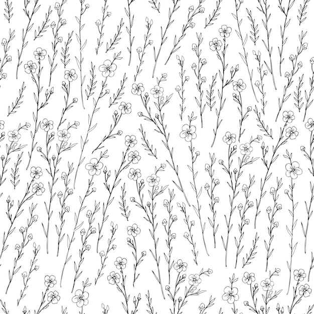 Patrón vectorial floral sin costuras Planta de lino Flor silvestre de campo aislada sobre un fondo blanco