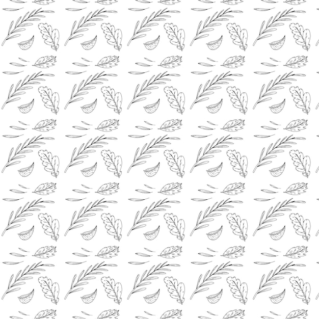 Vector patrón vectorial de hojas de contorno ilustradas