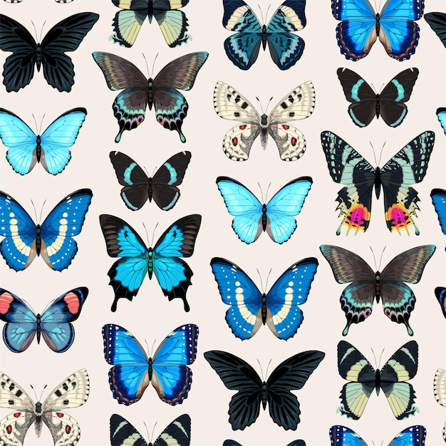 Patrón vectorial con mariposa tropical muy detallada