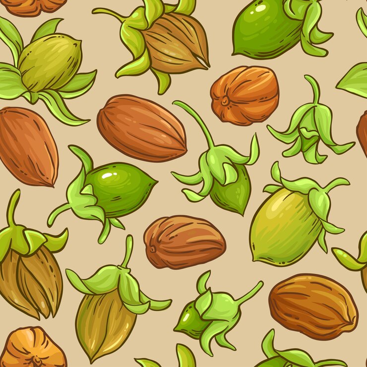 Vector patrón vectorial de nueces de jojoba en el fondo de color