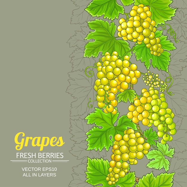 patrón vectorial de ramas de uvas en el fondo de color