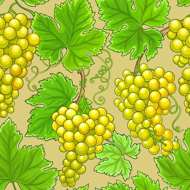 patrón vectorial de las uvas
