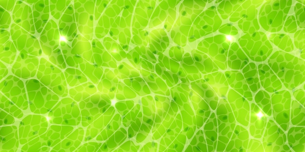 Patrón verde abstracto sin costuras o células vegetales con textura nuclear bajo un microscopio