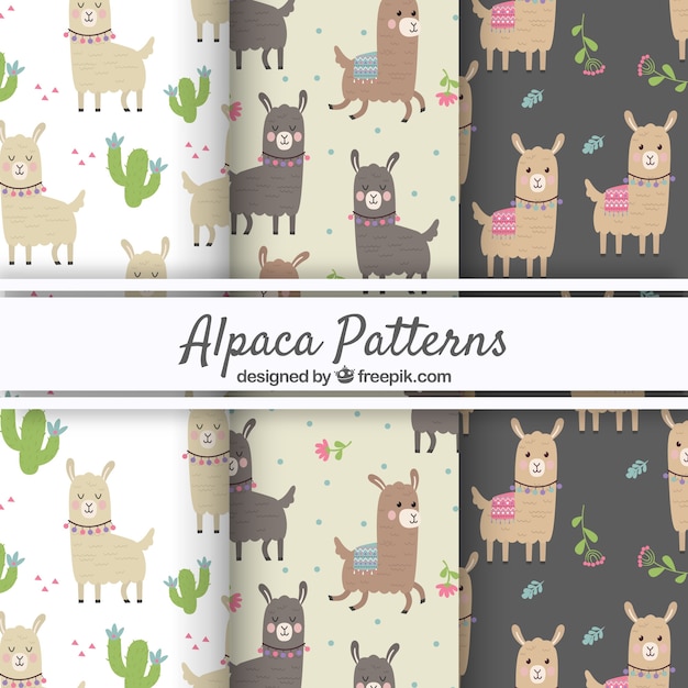 Vector patrones de alpaca